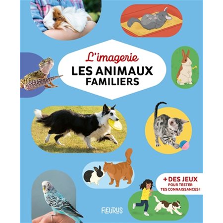 Les animaux familiers, Imagerie...