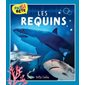 LES REQUINS, Pas si bête