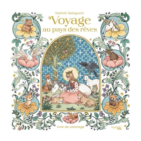 Voyage au pays des rêves : Livre de coloriage