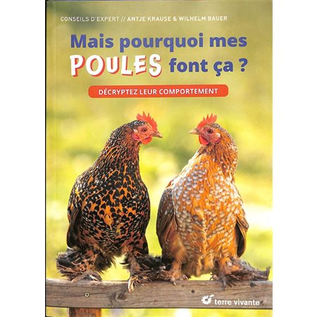 Mais pourquoi mes poules font ca?