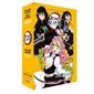 Coffret collector Demon slayer : Kimetsu no yaiba : manga tome 12 + roman tome 5, Shonen