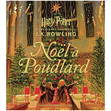 Noël à Poudlard, Harry Potter