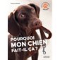 Pourquoi mon chien fait-il ça ?