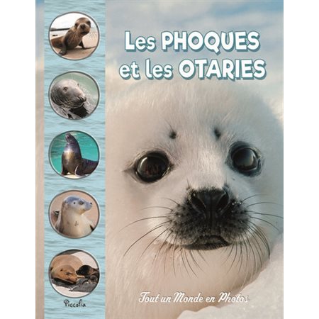 Les phoques et les otaries, Tout un monde en photos