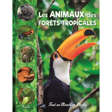 Les animaux des forêts tropicales, Tout un monde en photos