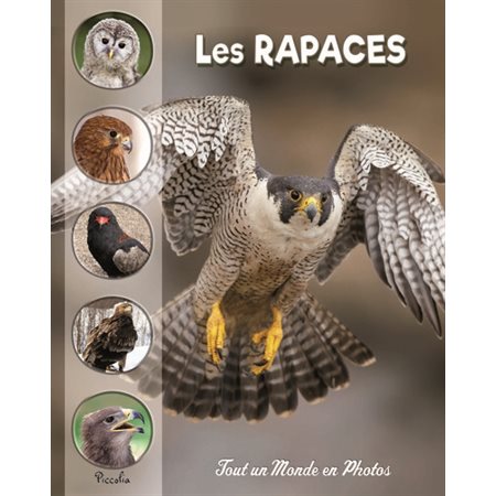 Les rapaces, Tout un monde en photos