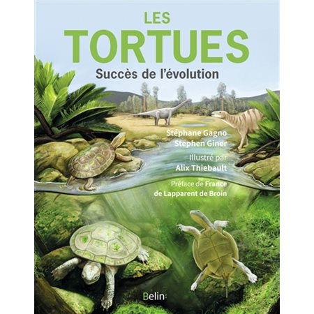 Les tortues : succès de l'évolution