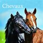 Chevaux : Calendrier 2025