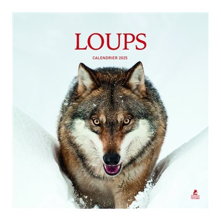 Loup : Calendrier 2025