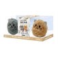 Mes jolis chatons anti-froid : coffret