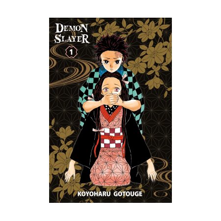 Demon slayer : Kimetsu no yaiba, Vol. 1, ed collection neol