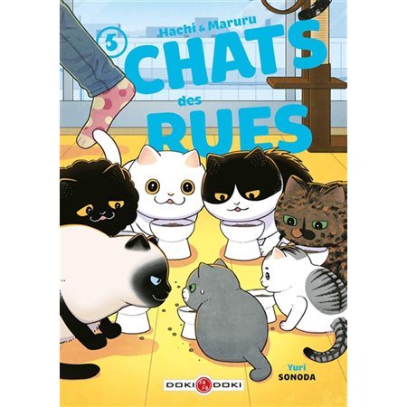 Hachi & Maruru : chats des rues, Vol. 5