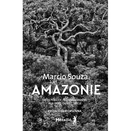 Amazonie : histoire de la période précolombienne aux défis du XXIe siècle