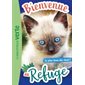 Le plus beau des chats !, Bienvenue au refuge, 9
