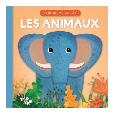 Les animaux, Pop-up, me voilà !