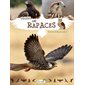 Les rapaces, P'tit curieux