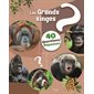 Les grands singes, 40 questions réponses