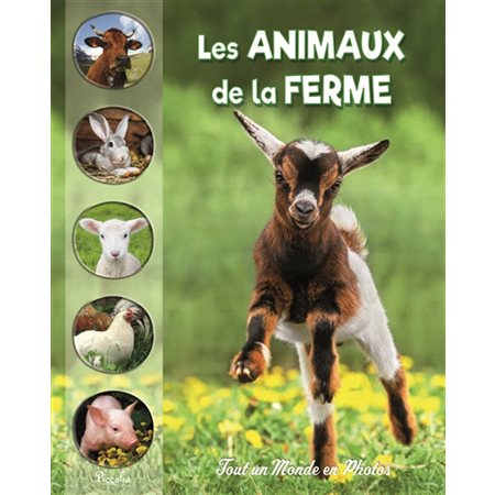 Les animaux de la ferme, Tout un monde en photos