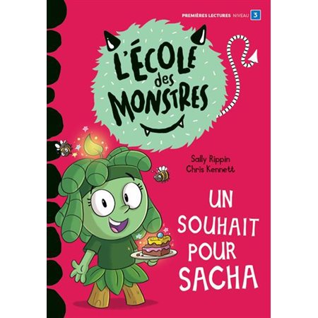 Un souhait pour Sacha : Niveau de lecture 3, Premier Grand roman rouge