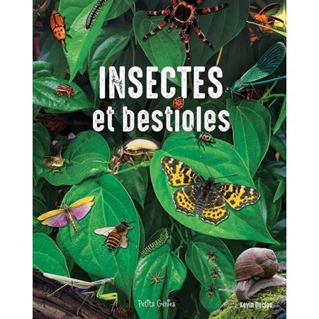 Insectes et bestioles, Mon grand documentaire