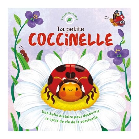La petite coccinelle : une belle histoire pour découvrir le cycle de vie de la coccinelle, Cycles naturels