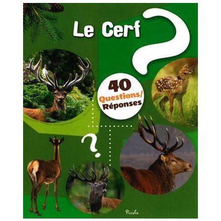 Le cerf, 40 questions réponses